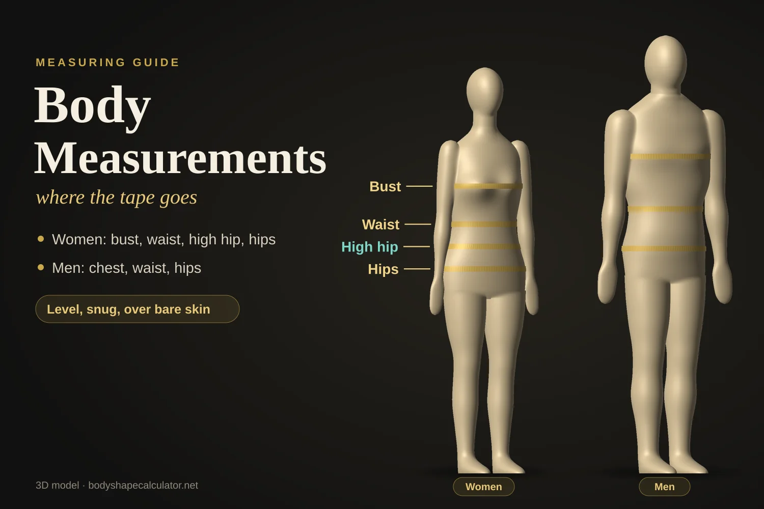 3D female and male bodies with tape measures wrapped around the bust, waist, high hip and hips on the woman, and chest, waist and hips on the man