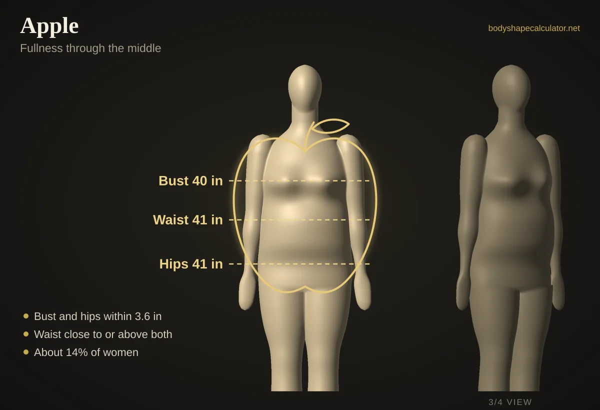 3D apple body shape with 40 in bust, 41 in waist and 41 in hips, traced by an apple outline