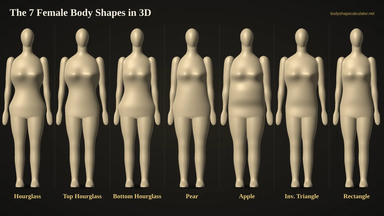 The seven female body shapes in 3D side by side: hourglass, top hourglass, bottom hourglass, pear, apple, inverted triangle and rectangle