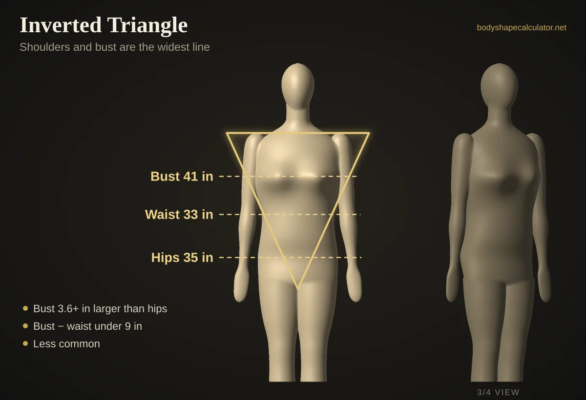 3D inverted triangle body shape with 41 in bust, 33 in waist and 35 in hips, traced by a downward-pointing triangle