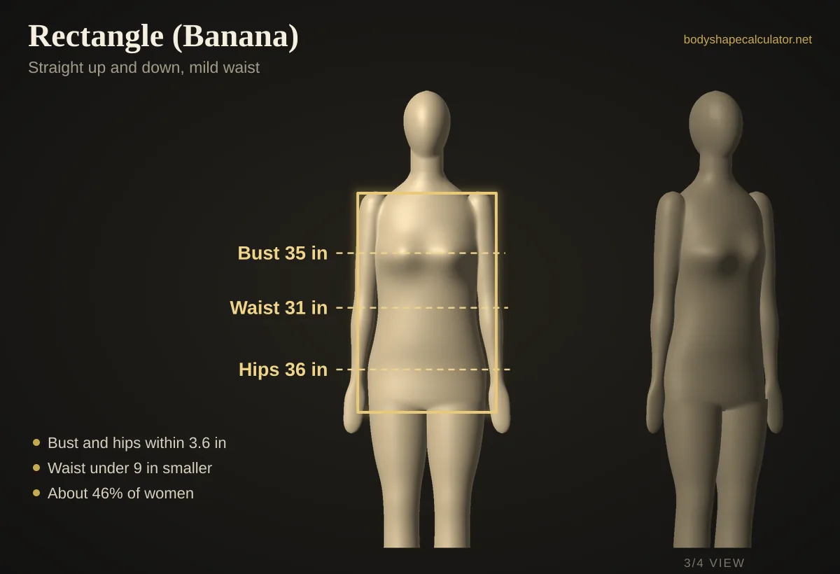 3D rectangle body shape with 35 in bust, 31 in waist and 36 in hips, traced by a straight rectangle outline
