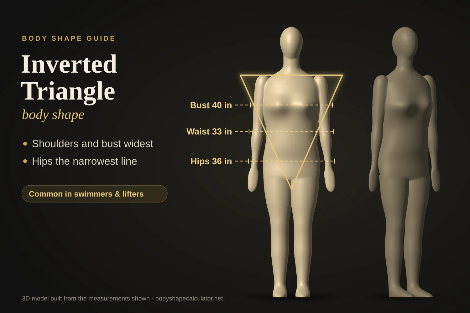 3D inverted triangle body shape: a front-view body with 40 in bust, 33 in waist and 36 in hips, traced by a downward-pointing triangle that is widest at the shoulders, next to a three-quarter view