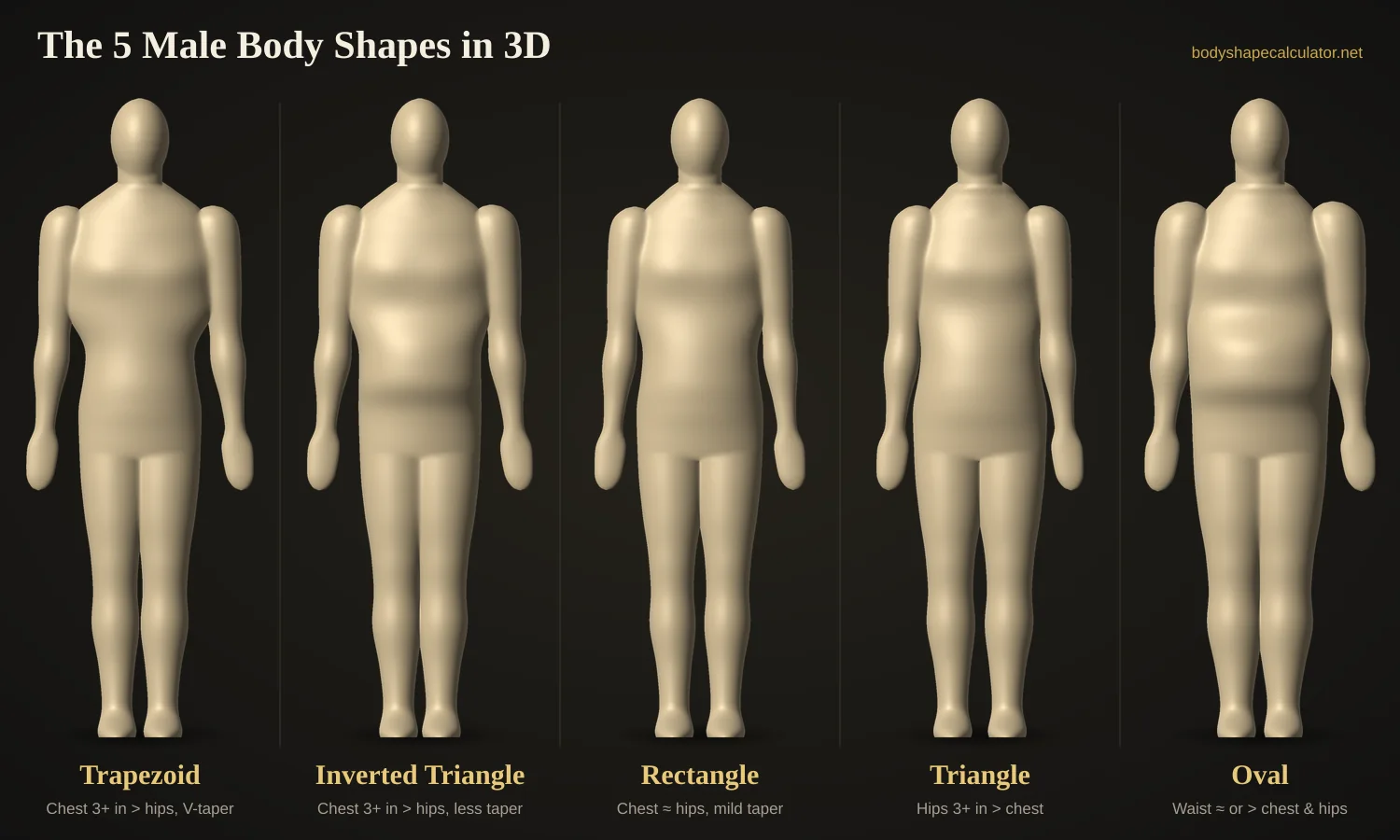 The five male body shapes in 3D side by side: trapezoid, inverted triangle, rectangle, triangle and oval, each built from real chest, waist and hip measurements