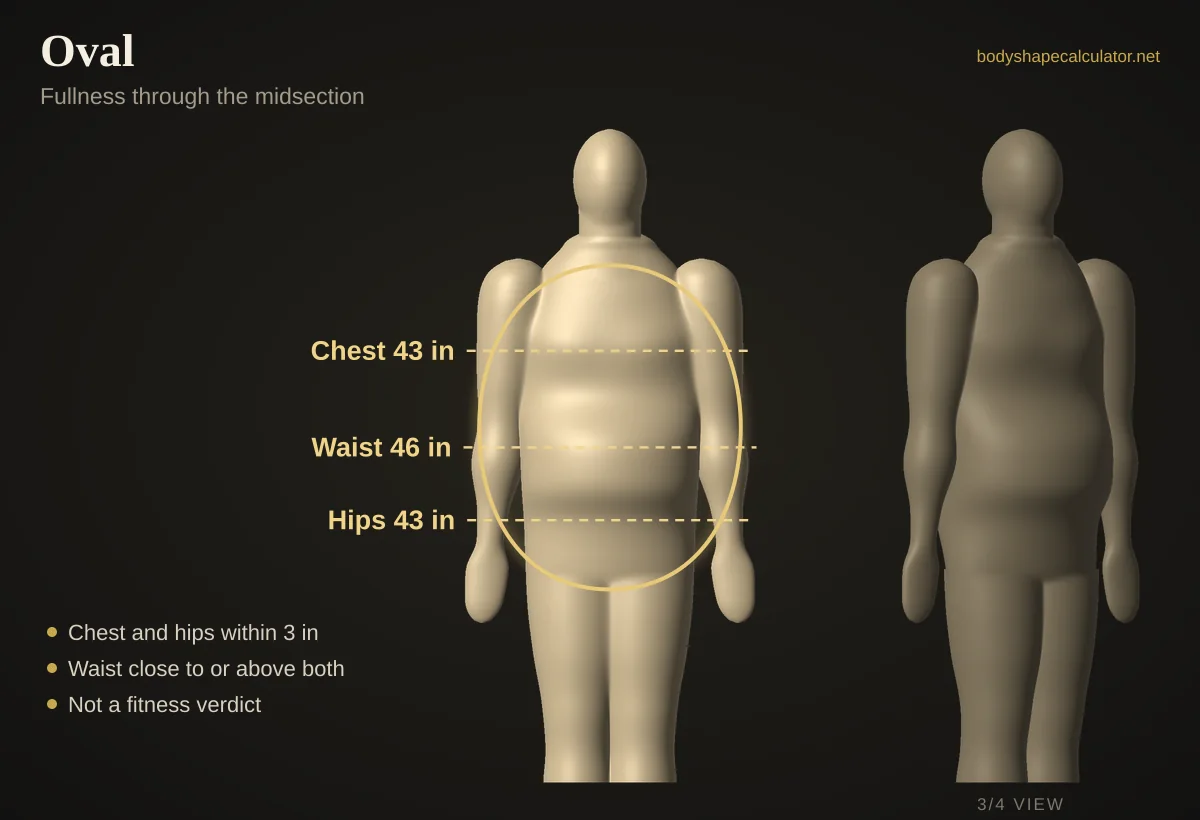 3D male oval body shape with 43 in chest, 46 in waist and 43 in hips, traced by an oval outline