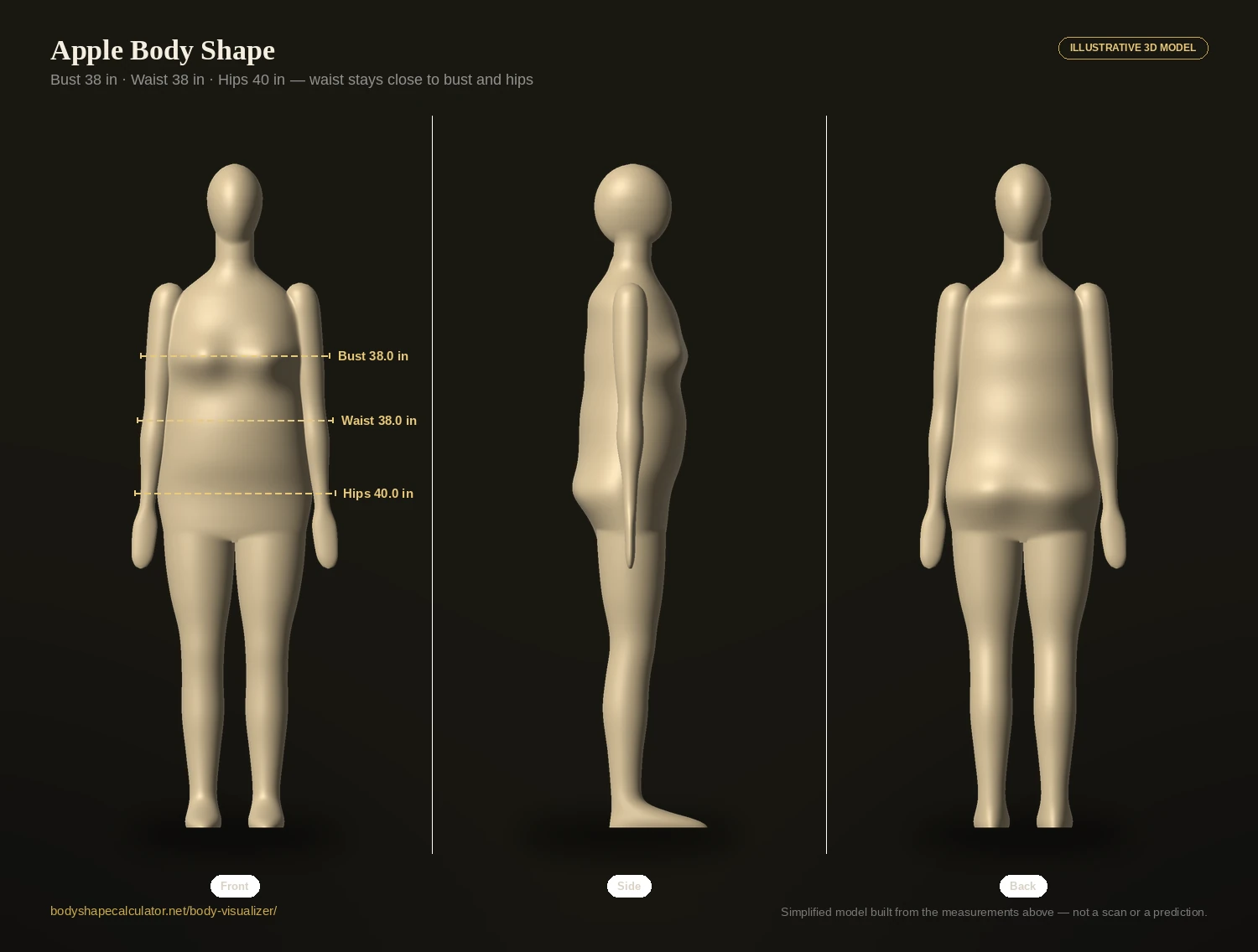 Apple body shape 3D illustration from the front, side and back, with bust, waist and hips measurement lines labelled at 38, 38 and 40 inches