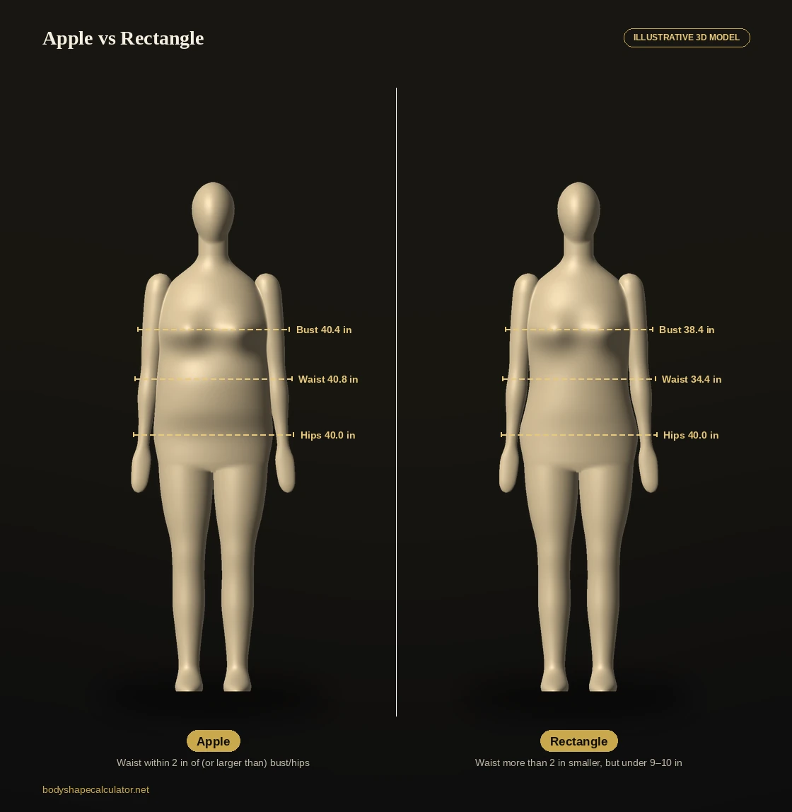 3D comparison of apple and rectangle body shapes at the same hip size, with bust, waist and hips labelled