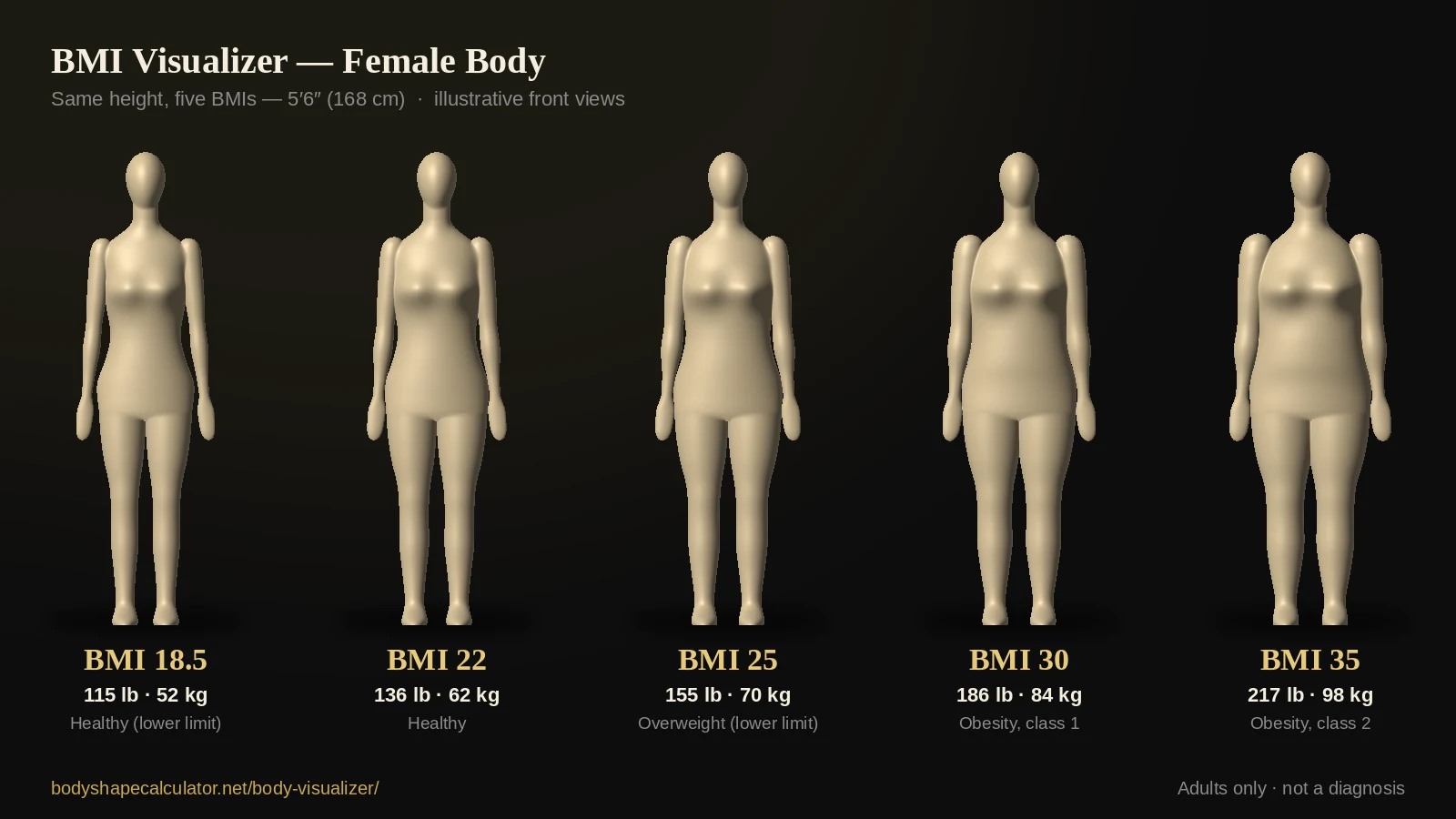 Female body visualizer showing five illustrative body models at the same 5 foot 6 inch height with BMI 18.5, 22, 25, 30 and 35, weighing 115 to 217 pounds