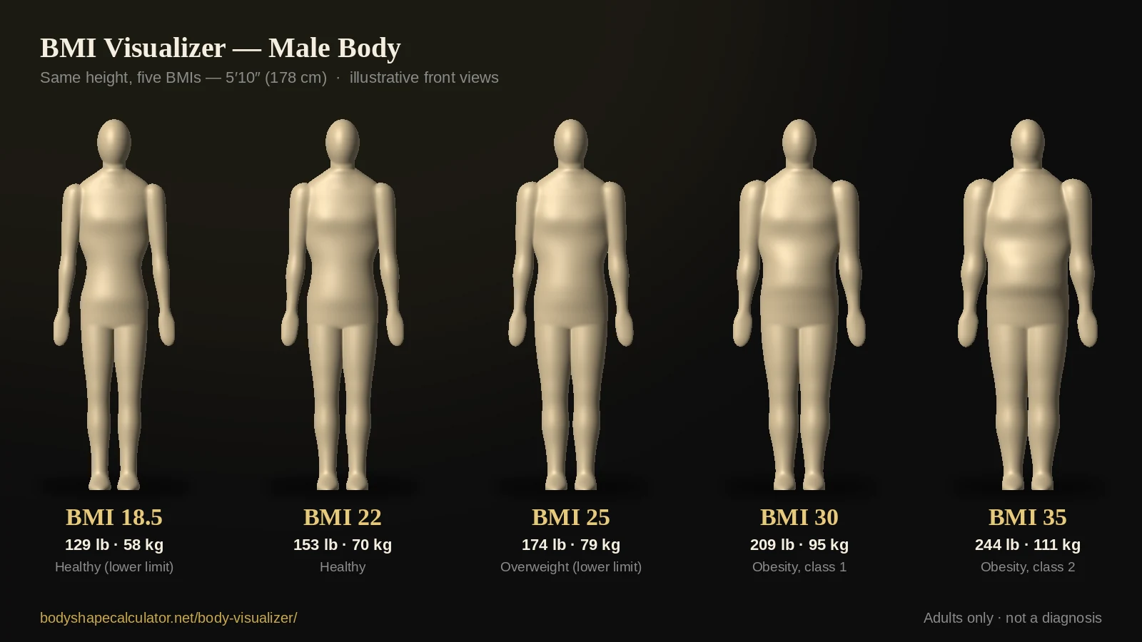 Male body visualizer showing five illustrative body models at the same 5 foot 10 inch height with BMI 18.5, 22, 25, 30 and 35, weighing 129 to 244 pounds