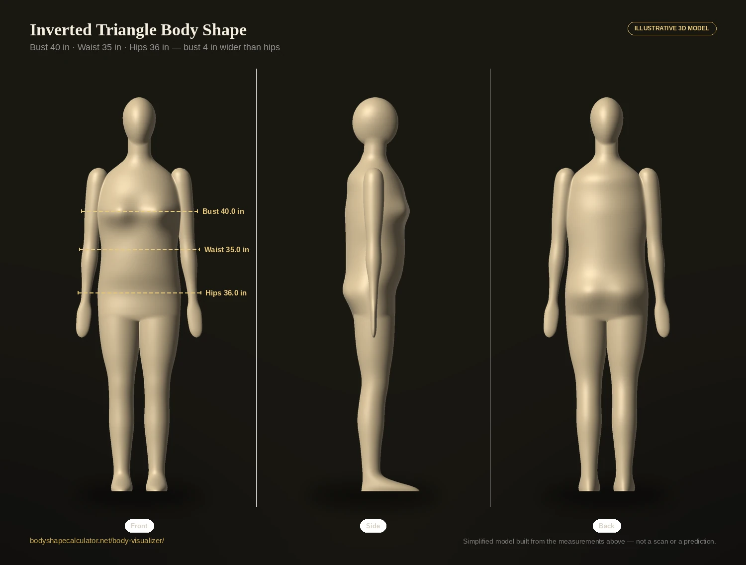 Inverted triangle body shape 3D illustration from the front, side and back, with bust, waist and hips measurement lines labelled at 40, 35 and 36 inches
