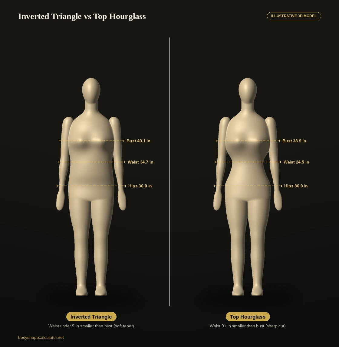3D comparison of inverted triangle and top hourglass body shapes at the same hip size, with bust, waist and hips labelled